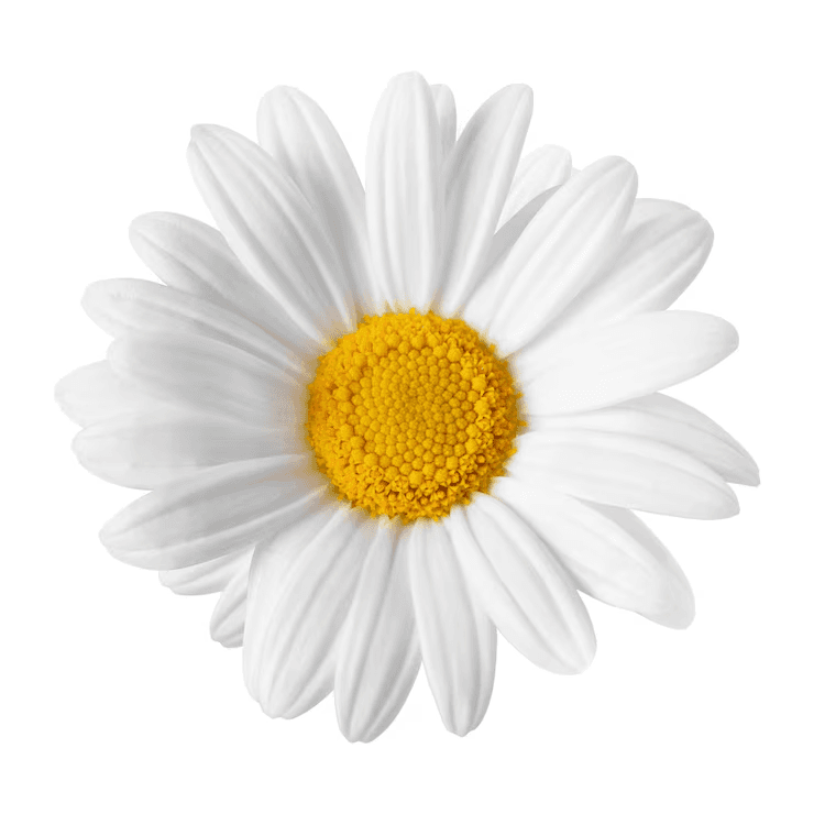 UI pattern collection